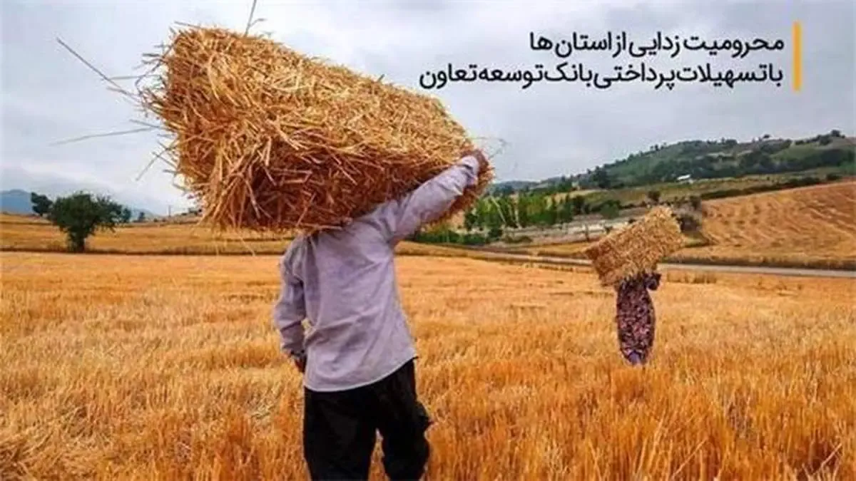 محرومیت زدایی از استان ها با تسهیلات پرداختی بانک توسعه تعاون
