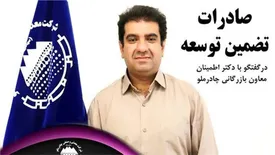 صادرات تضمین توسعه