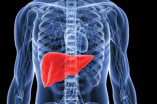 نکاتی برای مبارزه با بیماری «کبد چرب»