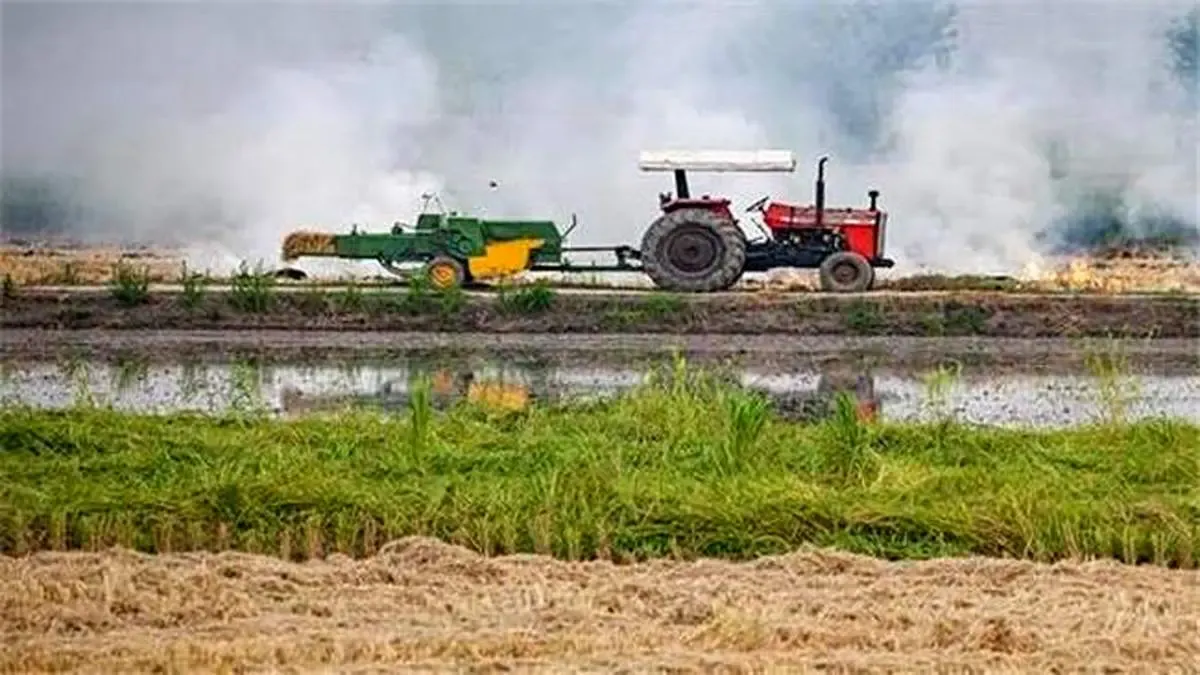 زمستان سردی پیش رو نیست