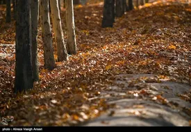 گرمای پاییز امسال بی سابقه است؟