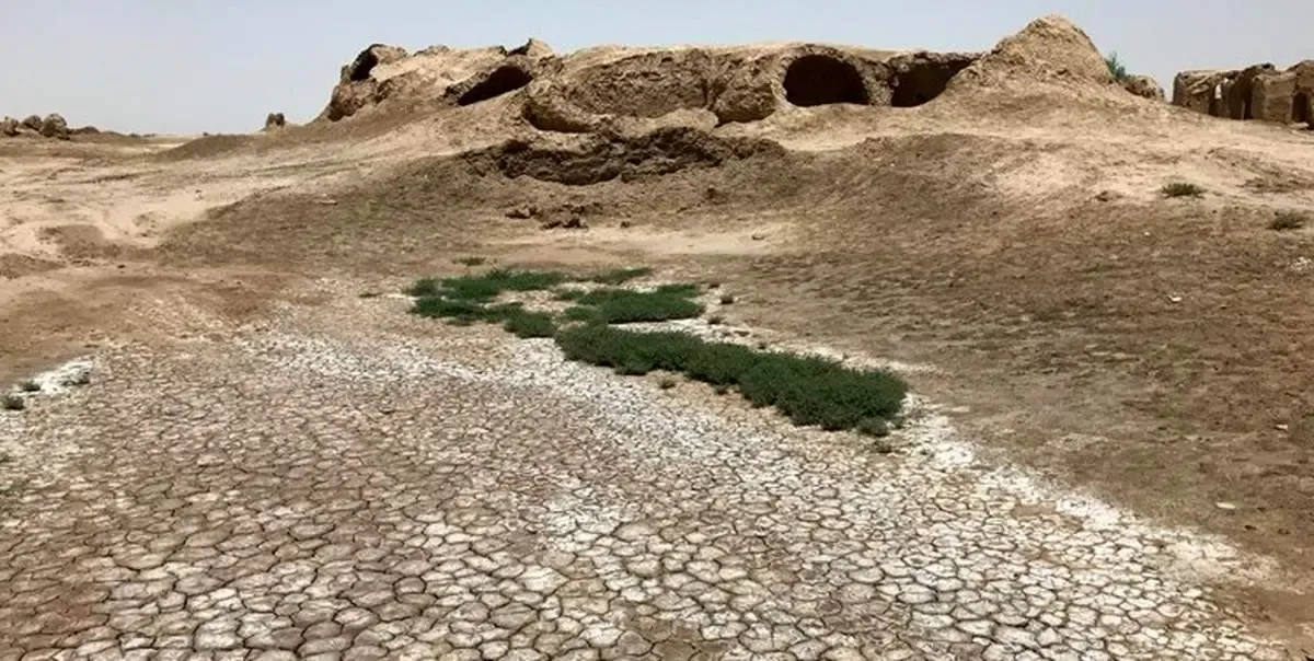 تهران فقط دو هفته آب دارد؟/ پایتخت نشینان باید شهر را ترک کنند؟