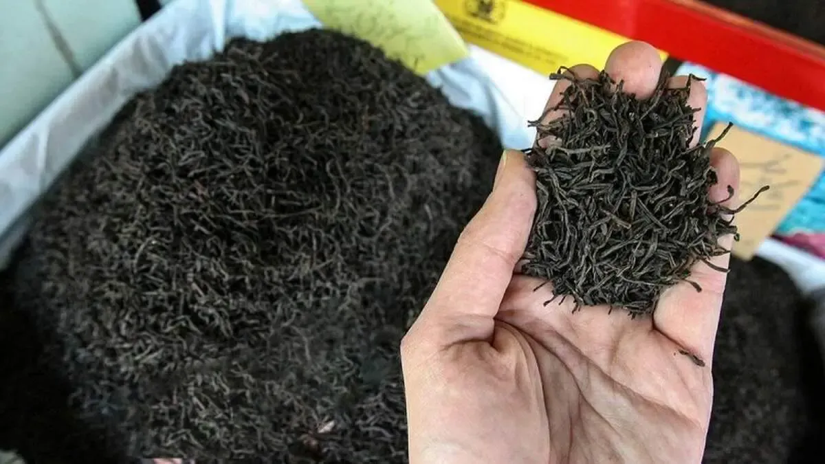 همه اموال مرتبطین با چای دبش توقیف شدند