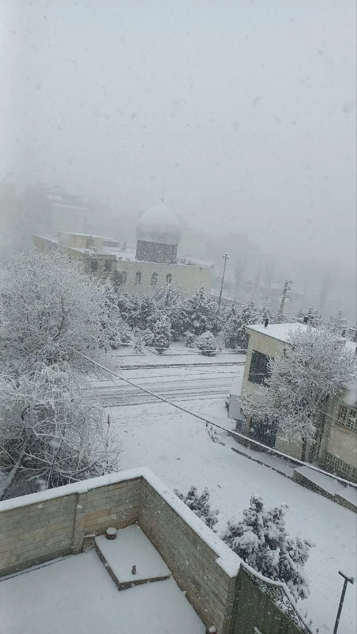 برف دل انگیز تهران را سفیدپوش کرد/ ببینید