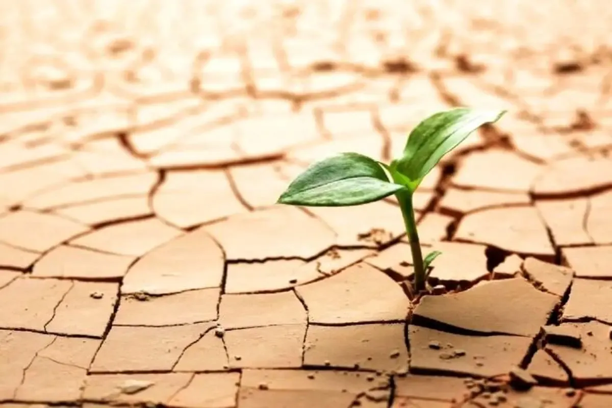 شدیدترین خشکسالی یک قرن اخیر در تهران