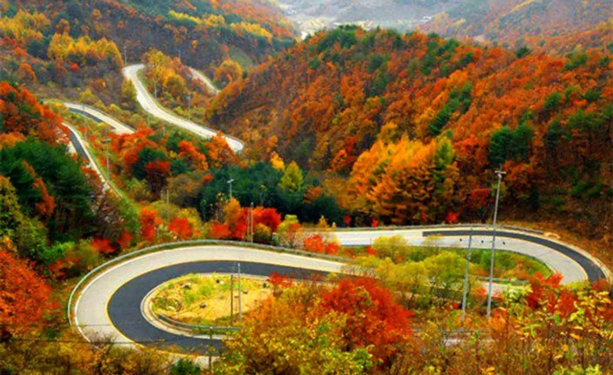 جاذبه های بی نظیر جاده چالوس را در پاییز از دست ندهید/ تصاویر