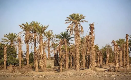 رودبار؛ بدون رود بدون آب/ عکس : محمد رفیعی موحد