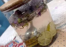 اگر سرما خوردید حتما این دمنوش ها را بخورید