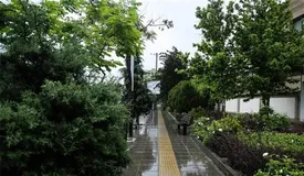 بارش شدید باران چهارشنبه و پنج شنبه 30 مرداد/ این مناطق خنک می شود