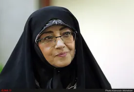 اگر می‌خواهیم جامعه آرام داشته باشیم، نباید به مردم کاری داشته باشیم| هدف تدوین‌گران لایحه حجاب، به نتیجه نمی‌رسد