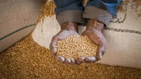 مبلغ فطریه ۱۴۰۴ از سوی مراجع عظام اعلام شد