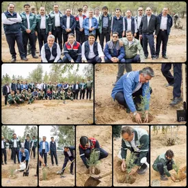 مدیران و کارکنان شرکت فولاد آلیاژی ایران نهال غرس کردند