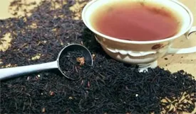 شرط عجیب وزیر کشاورزی برای واردات چای!