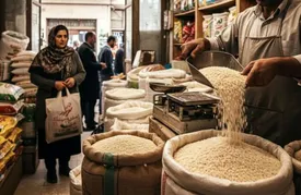 برنج گران‌تر شد؟ / قیمت روز برنج هندی و ایرانی در فروشگاه‌ها