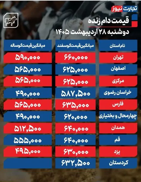 گوشت گوشت
