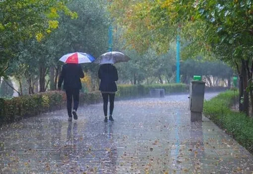 پاییز امسال پربارش می شود؟