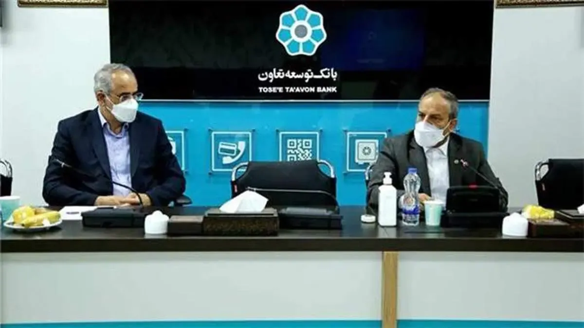 نگاه ویژه بانک توسعه تعاون به مسائل توسعه ای استان هرمزگان