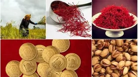 دادوستد بیش از دو میلیون و ۳۳۳ هزار گواهی سپرده در بورس کالا