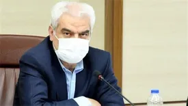 بازپویایی سازمان‌های توسعه‌ای به مثابه پشتیبانی از تولید