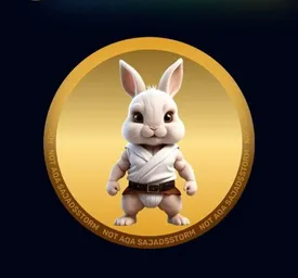 کارت های روزانه راکی رابیت Rocky Rabbit امروز جمعه 23 شهریور