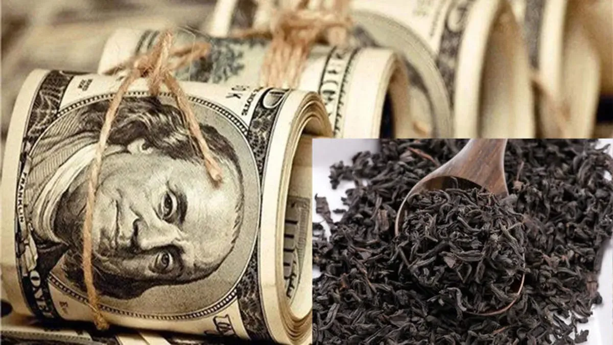 متهم ردیف اول فساد بزرگ چای دبش کدام مدیر ارشد دولت رئیسی است؟