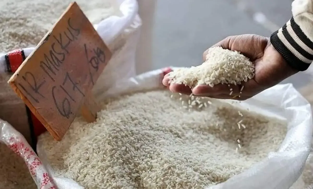 قیمت برنج به شدت گران شد