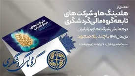 ارتقاء هلدینگ ها و واحدهای گروه مالی گردشگری در بین شرکت های برتر ایران