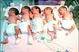 تهران رکورددار چندقلوزایی