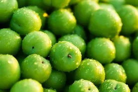 قیمت میوه محبوب بهاری سرسام‌آور شد!