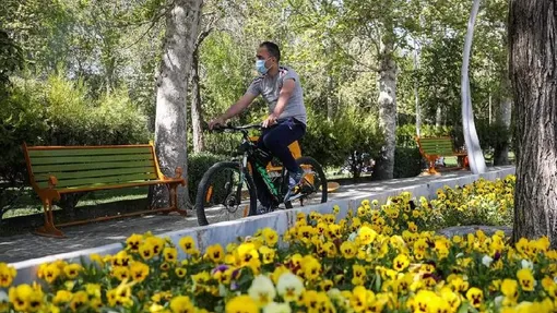 شکوفه های بهاری تهران / عکاس:مریم کامیاب