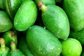 نوبرانه خوشمزه بهار، خانم های باردار احتیاط کنید!