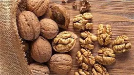 گردو بخورید تا بیشتر عمر کنید!