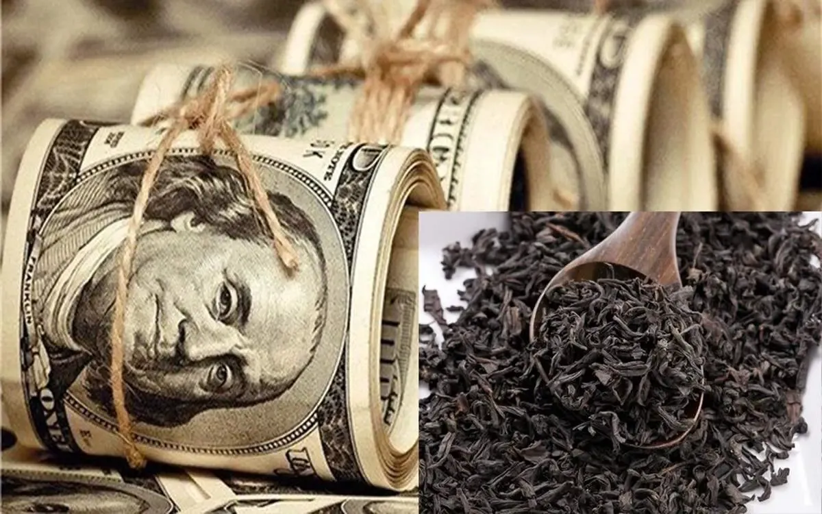 چای دبش تائیدیه سلامت داشت؟