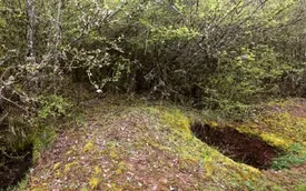 جستجوی گنج،  سه نفر را به کام مرگ رساند