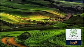 ثتوسا با دشت مغان سبزمی‌شود