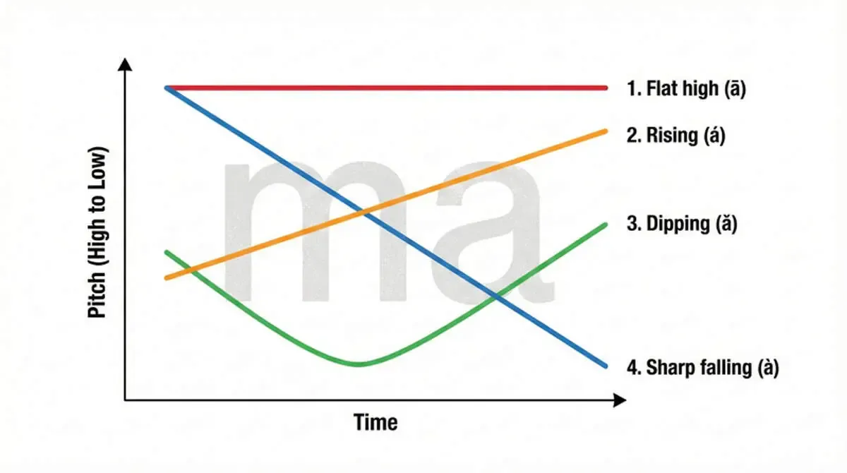 ۵ راز موفقیت در یادگیری زبان چینی