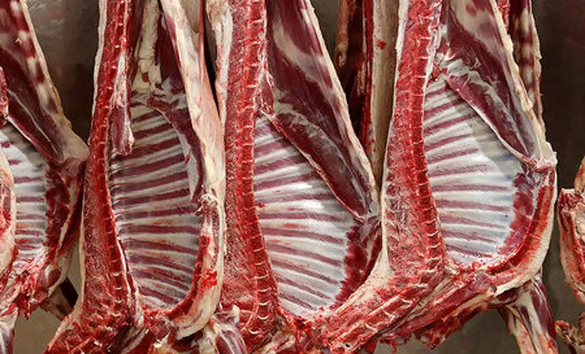 گوشت کیلویی ۴۶۰ هزار تومان آمد