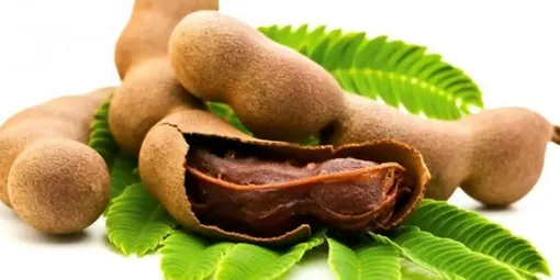 فواید شگفت‌انگیز «تمرهندی» برای سلامتی