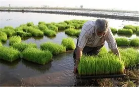 فرماندار زنجان: نظارت کافی بر نحوه استفاده از سموم کشاورزی وجود ندارد/ آمار ابتلا به بیماریهای صعبالعلاج افزایش یافته است