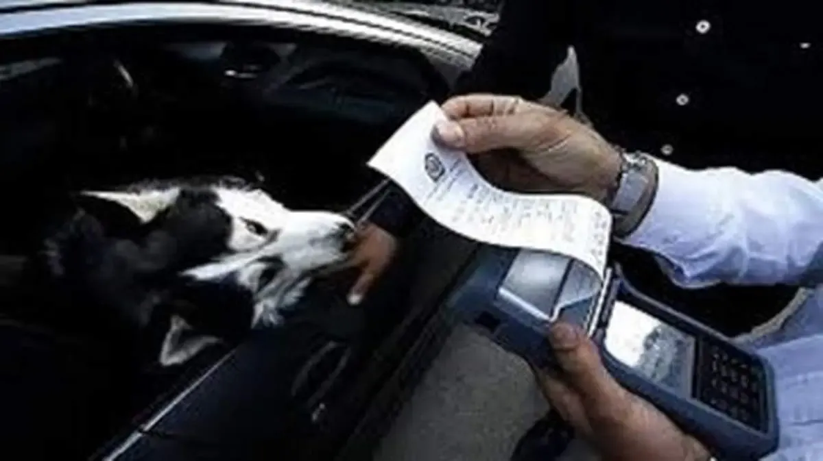 سگ‌گردانی با خودرو در تهران ممنوع شد