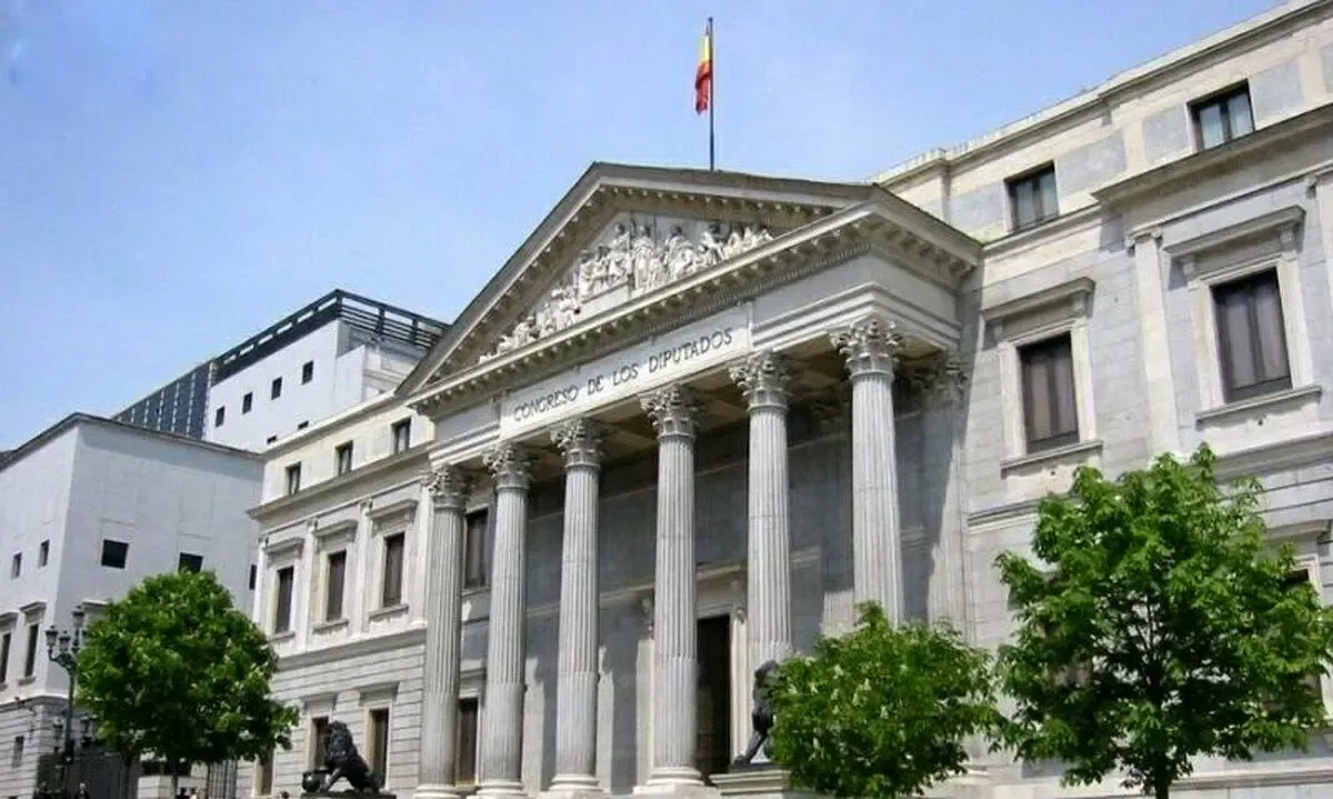 زن مبتلا به سندروم داون که نماینده پارلمان محلی اسپانیا شده