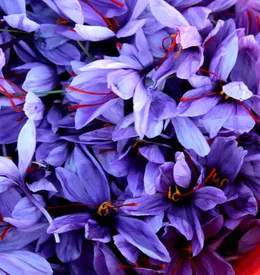 تولید قرص زعفران