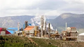 رشد1500درصدی فروش «شلرد» در سه ماهه نخست ۱۴۰۱