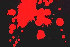 سرنوشت تلخ دختر جوان/ از فرار از خانه تا کشف جسد در سطل زباله