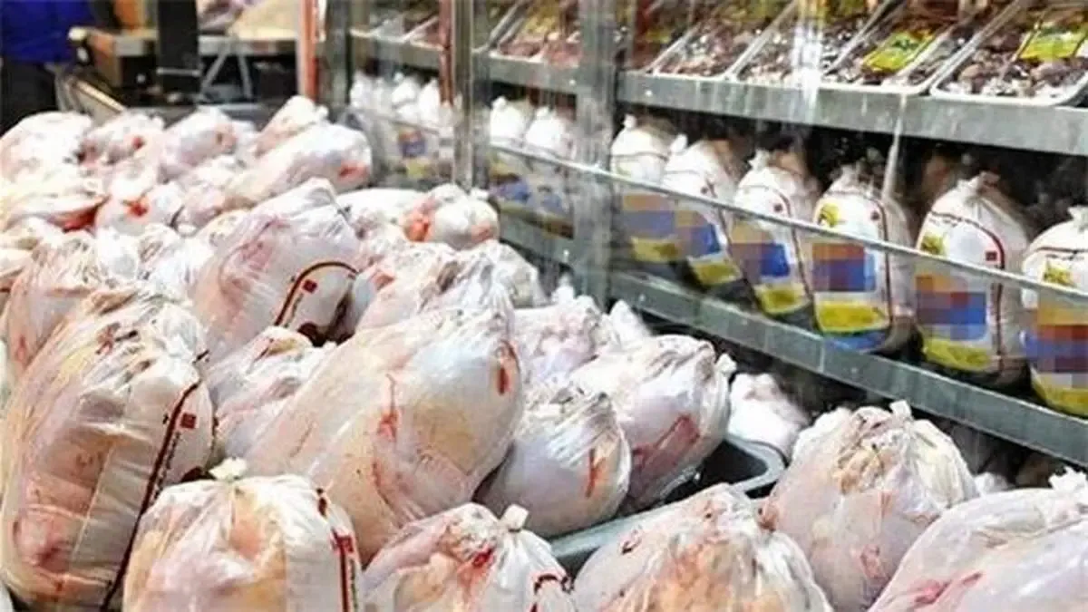 مرغ هم چند نرخی شد!