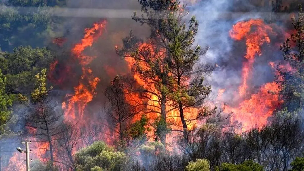 آتش جنگل‌ الیت بالاخره‌ خاموش شد