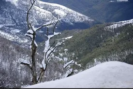 ورود توده هوای سرد به کشور از چهارشنبه 9 مهر/ بارش شدید برف و باران در این مناطق