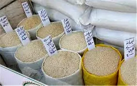چرا قیمت برنج سر به فلک کشید؟/ کاهش واردات برنج زنگ خطر را برای سفره مردم به صدا درآورده است