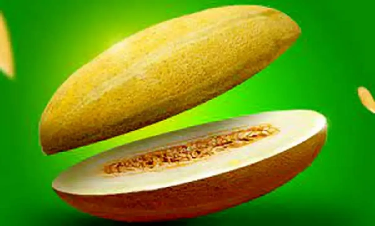 خواص بی‌نظیر خربزه