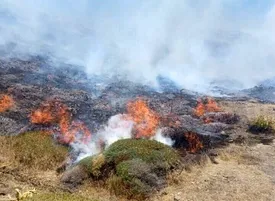 آتش سوزی در سومین جنگل شعله ور شد